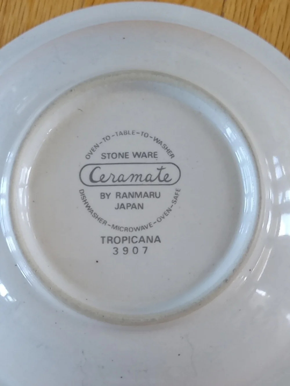 Set of  two Ranmaru “Tropicana” stoneware bowls